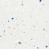 SP66AA04T white blue gold grey bold terrazzo look glazed polished porcelain tile glossy speckled surface close up product photo 600x600mm random design face 1