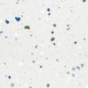 SP66AA06T Splash Terrazzo face 2 polished porcelain tile SP66AA06T white blue green grey bold terrazzo look glazed polished porcelain tile glossy speckled surface close up product photo 600x600mm random design face 2