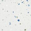 SP66AA06T Splash Terrazzo face 6 polished porcelain tile SP66AA06T white blue green grey bold terrazzo look glazed polished porcelain tile glossy speckled surface close up product photo 600x600mm random design face 6